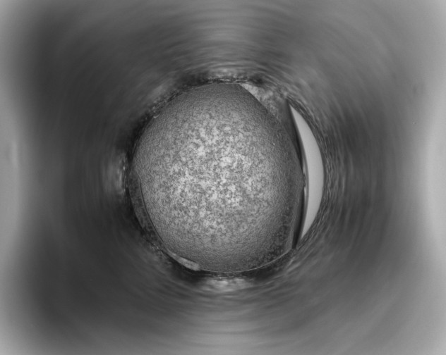 X0000093430712200710261019