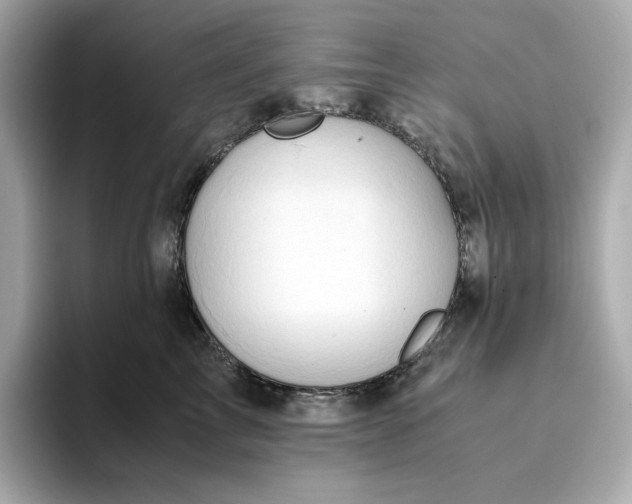 X0000093430713200710261019