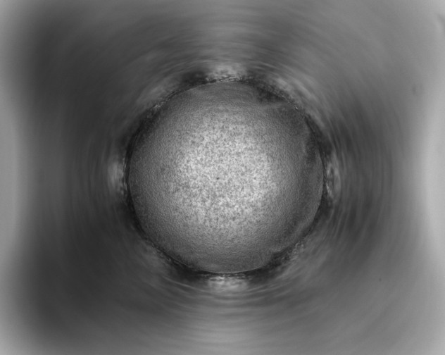 X0000093430714200710261019