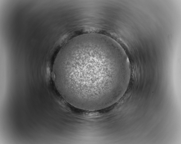 X0000093430716200710261019