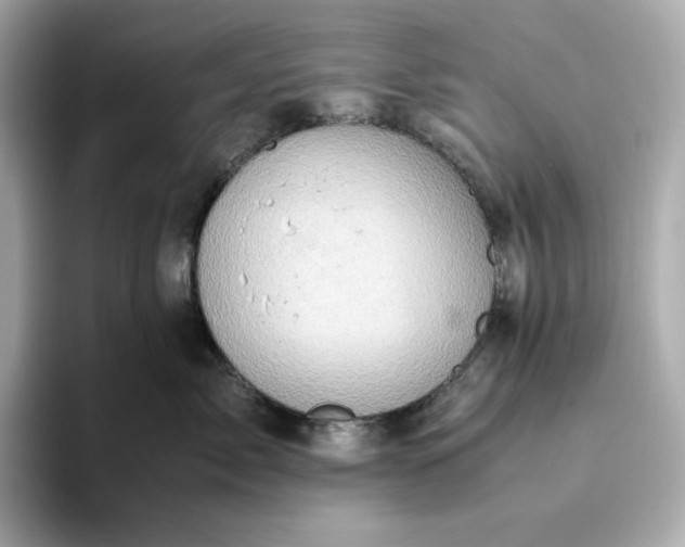 X0000093430717200710261019