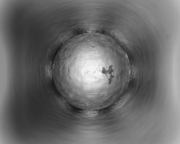 X0000093430719200710261019