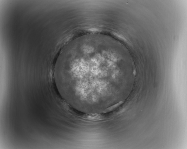 X0000093430720200710261019