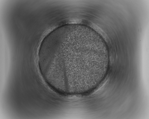 X0000093430721200710261019