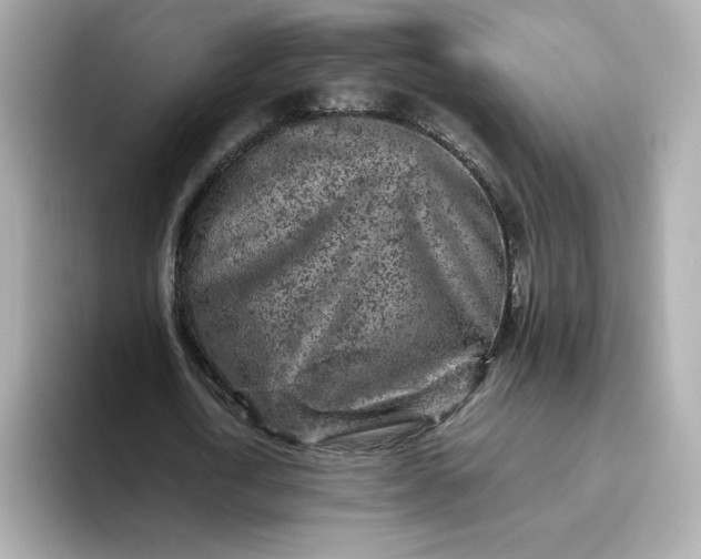 X0000093430722200710261019