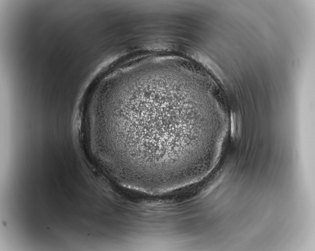 X0000093430723200710261019