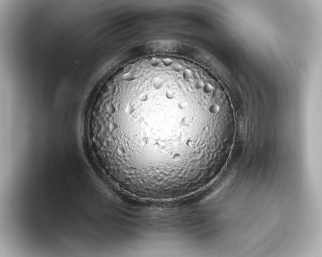 X0000093430725200710261019