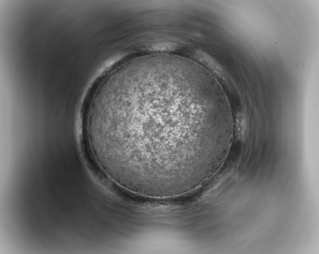 X0000093430726200710261019