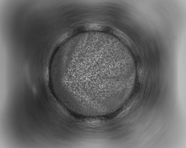 X0000093430729200710261019