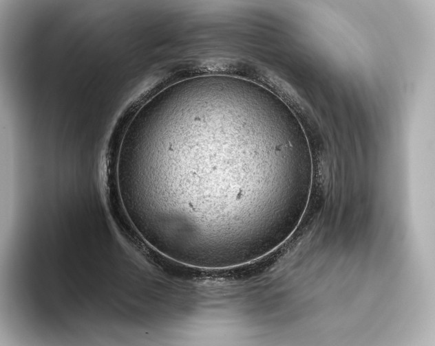 X0000093430730200710261019