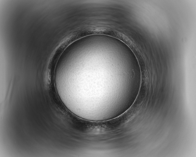 X0000093430731200710261019