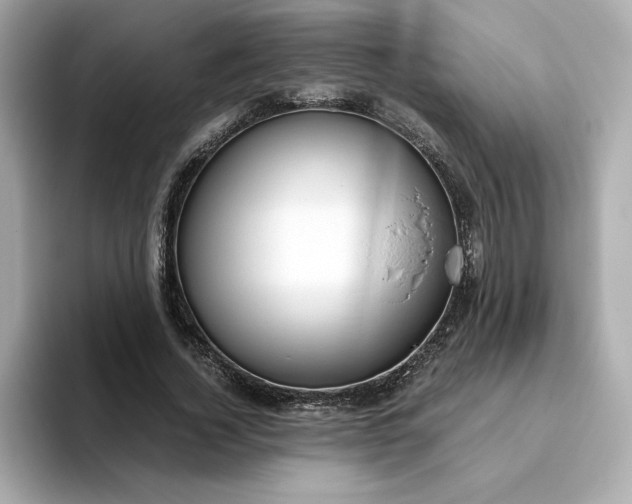 X0000093430732200710261019