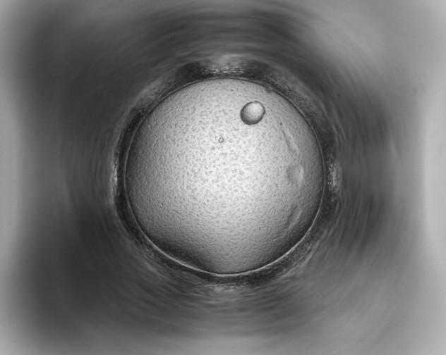 X0000093430733200710261019