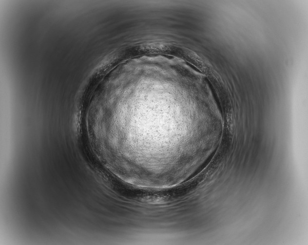 X0000093430735200710261019