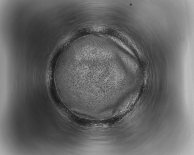 X0000093430736200710261019