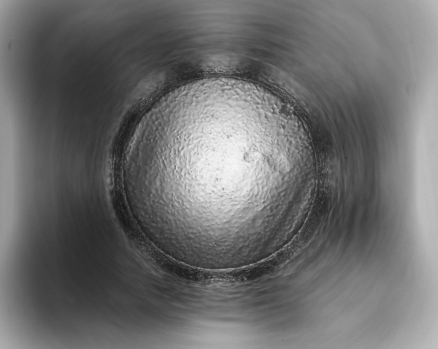 X0000093430738200710261019