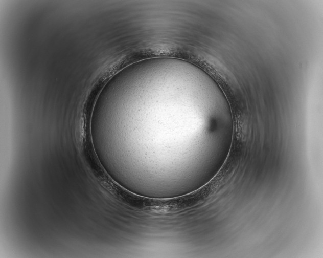 X0000093430740200710261019