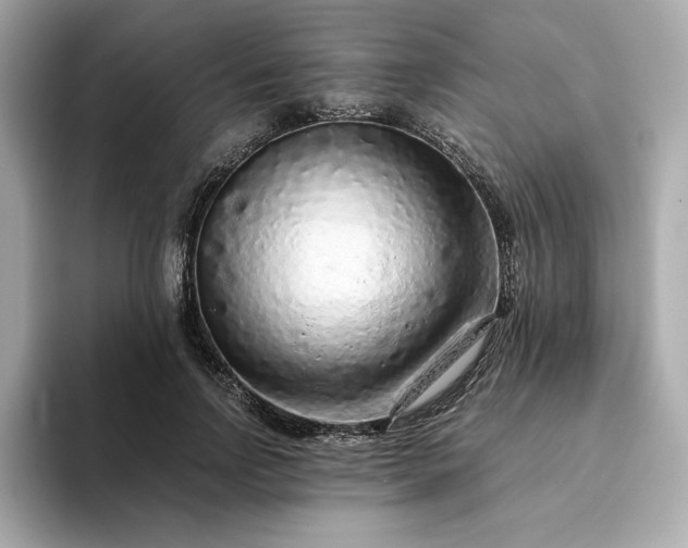 X0000093430742200710261019