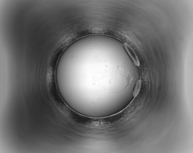 X0000093430744200710261019