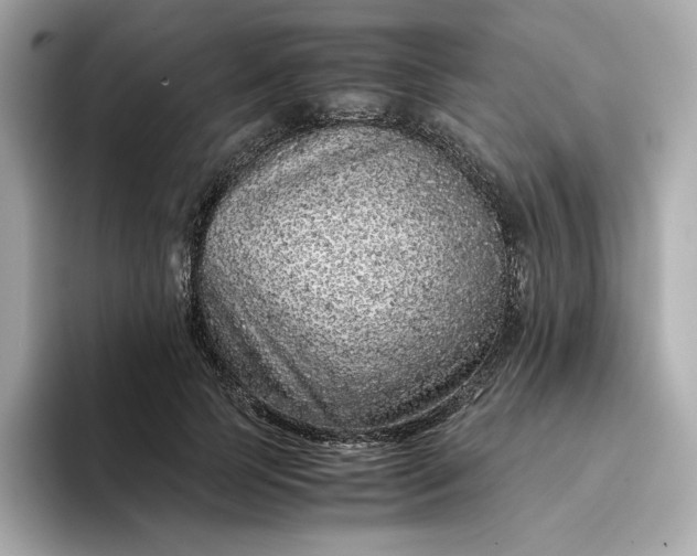 X0000093430745200710261019