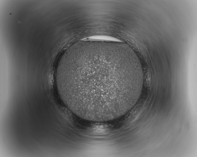 X0000093430746200710261019