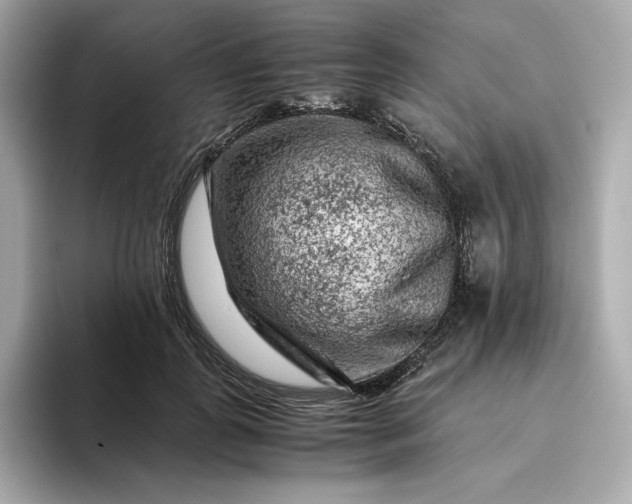 X0000093430747200710261019