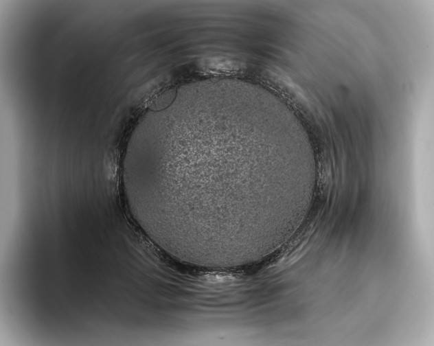 X0000093430749200710261019