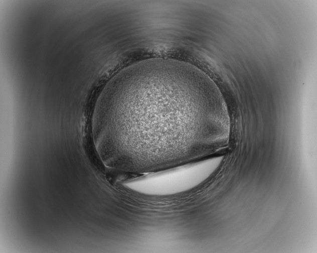 X0000093430750200710261019