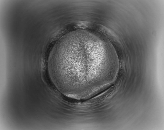 X0000093430751200710261019