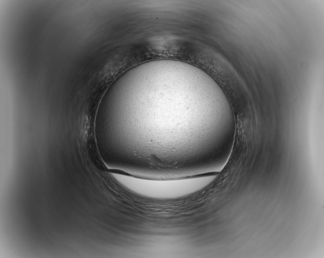 X0000093430752200710261019