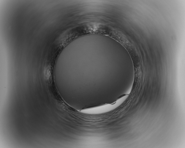 X0000093430754200710261019