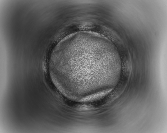 X0000093430755200710261019