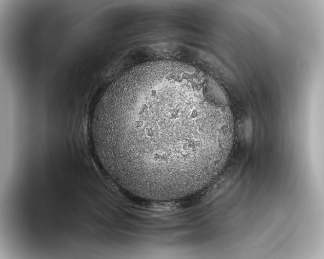 X0000093430757200710261019