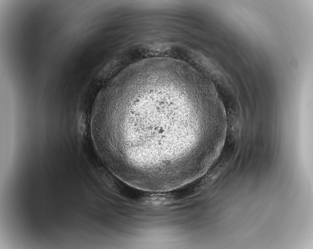 X0000093430758200710261019