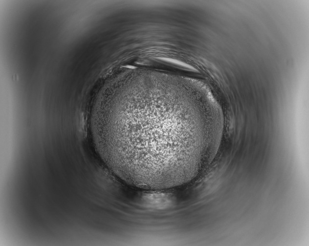 X0000093430759200710261019