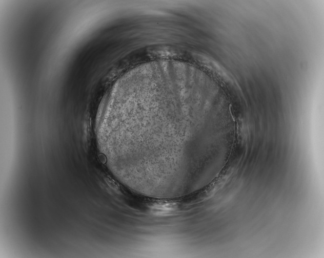 X0000093430760200710261019