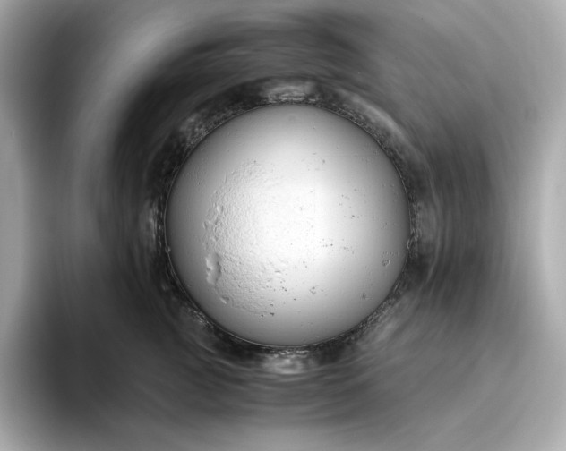 X0000093430761200710261019