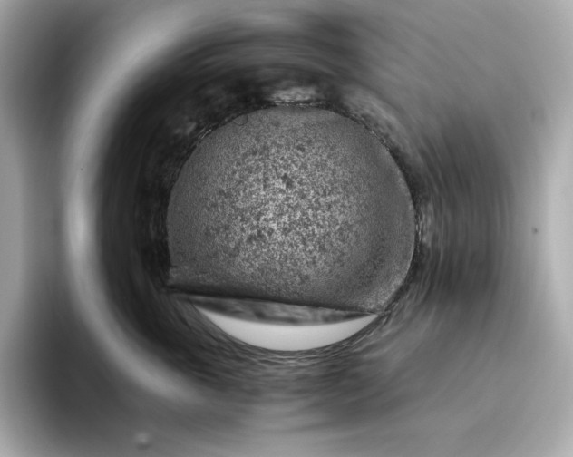 X0000093430763200710261019