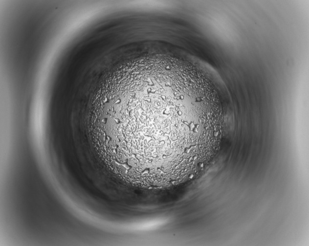 X0000093430765200710261019