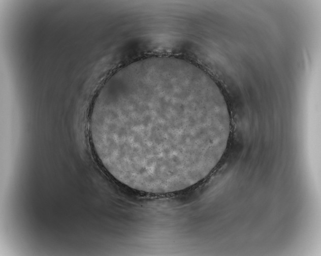 X0000093430769200710261019