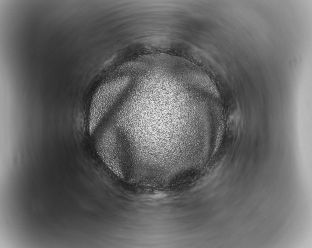 X0000093430772200710261019