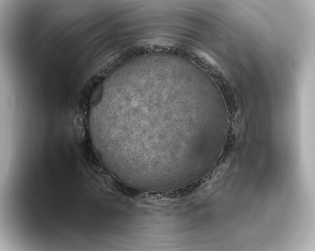 X0000093430774200710261019