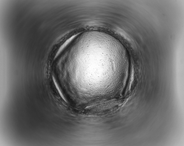 X0000093430775200710261019