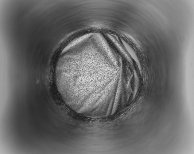 X0000093430776200710261019