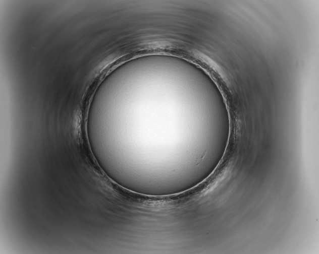 X0000093430778200710261019