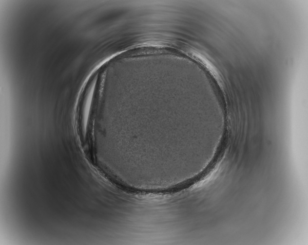 X0000093430779200710261019