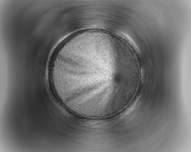 X0000093430780200710261019