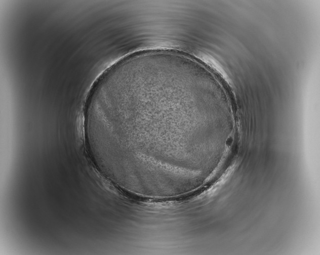 X0000093430781200710261018