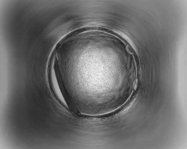 X0000093430783200710261018