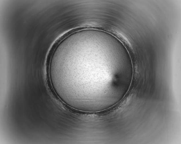 X0000093430784200710261018